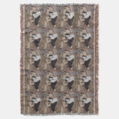 collie kippen in het stamboek : hondportret deken (Voorkant Verticaal)