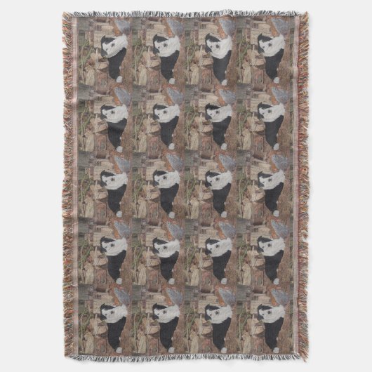 collie kippen in het stamboek : hondportret deken (Voorkant Verticaal)