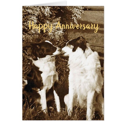 Collie kiss Jubileum card (Voorkant)