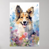 Collie kleurrijke waterverf kunstwerk poster (Voorkant)