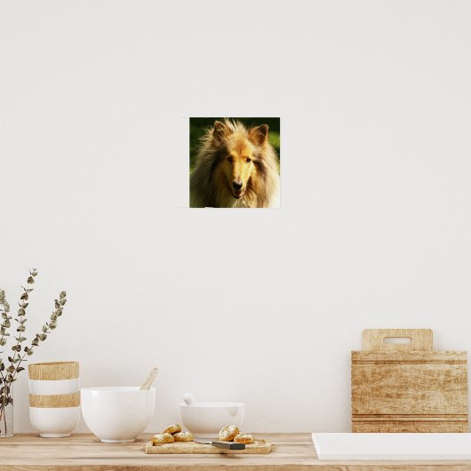 Collie Lassie Dog Print (Keuken)