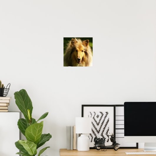 Collie Lassie Dog Print (Thuiskantoor)