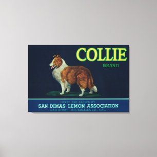 Collie Lemon LabelSan Dimas, CA Canvas Afdruk