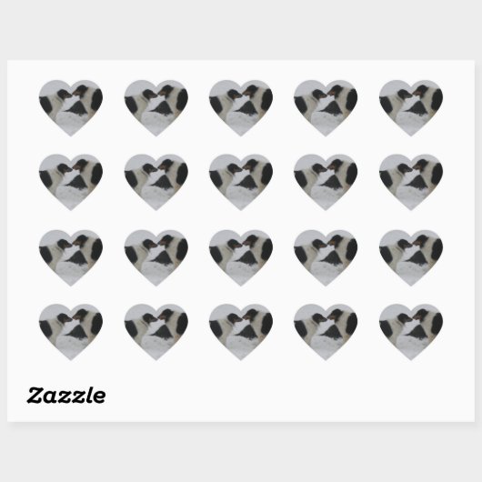 Collie Love Hart Sticker (Vel)