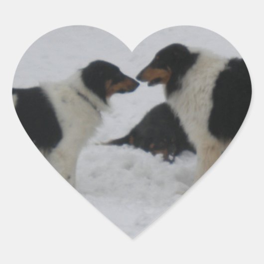 Collie Love Hart Sticker (Voorkant)