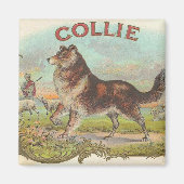  Collie Magneet (Voorkant)