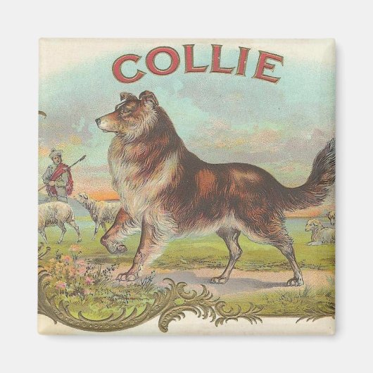  Collie Magneet (Voorkant)