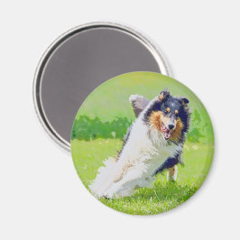 Collie Magneet