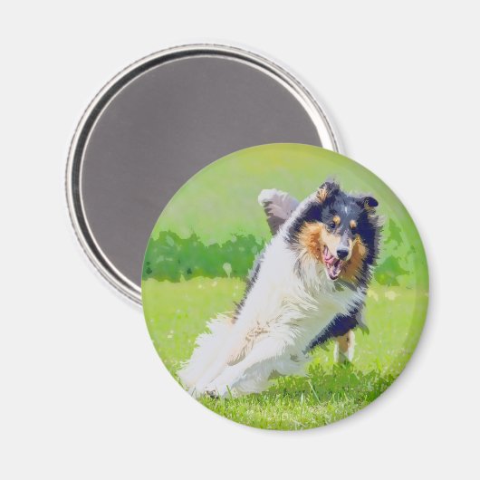 Collie Magneet (Voorkant / Achterkant)
