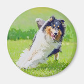 Collie Magneet (Voorkant)