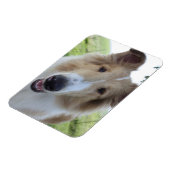 Collie Magnet met hanenoog Magneet (Linkerzijde)