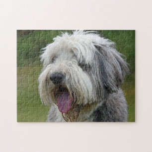 Collie met tong uit legpuzzel