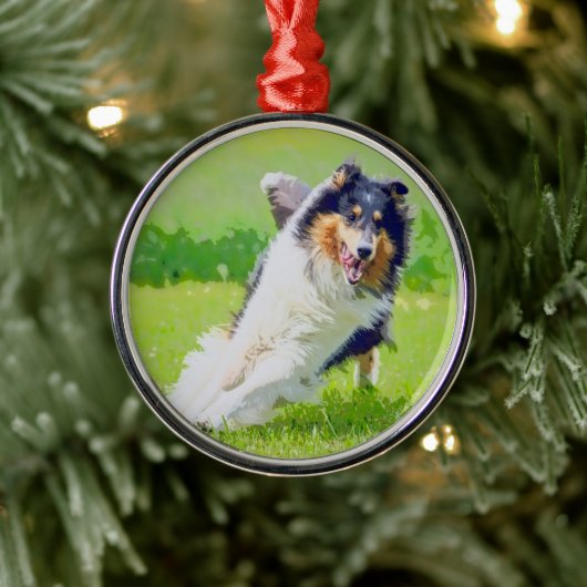 Collie Metalen Ornament (Boom)