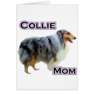 Collie Moeder 4