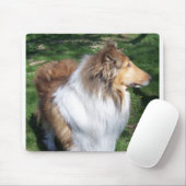 COLLIE MUISMAT (Met muis)