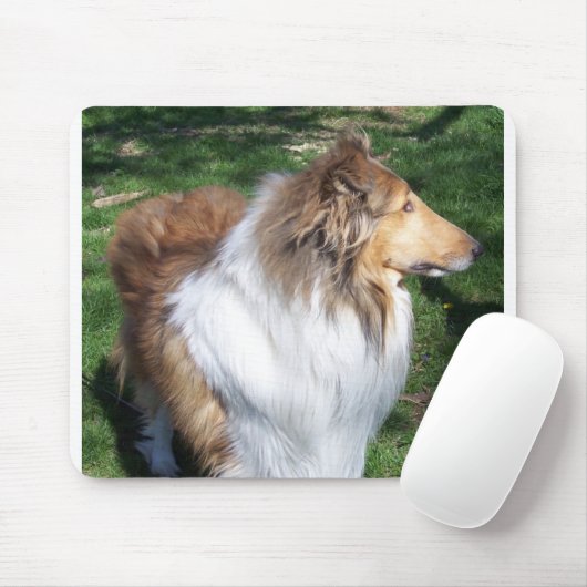 COLLIE MUISMAT (Met muis)