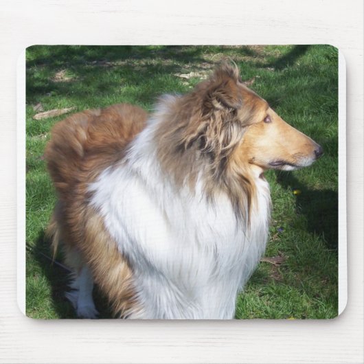COLLIE MUISMAT (Voorkant)