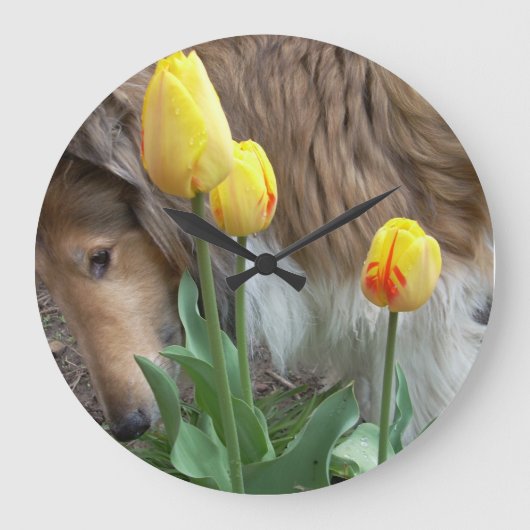 Collie N de Tulps Wall Clock Grote Klok (Voorkant)