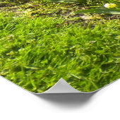 Collie N More Tulips Poster (Hoek)