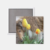 Collie N Tulips Magnet (Voorkant / Achterkant)
