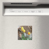 Collie N Tulips Magnet (Insitu (Vaatwasser))