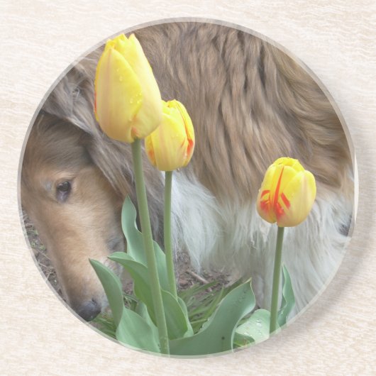 Collie n Tulips onderzetters (Voorkant)