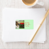 Collie N Tulpen Labels (Insitu)