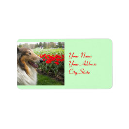 Collie N Tulpen Labels