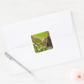 Collie N Tulpen Stickers (Envelop)