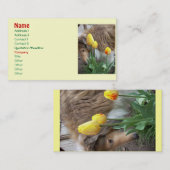 Collie n' Tulpen Visitekaartjes (Voorkant / Achterkant)