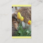 Collie n' Tulpen Visitekaartjes (Achterkant)