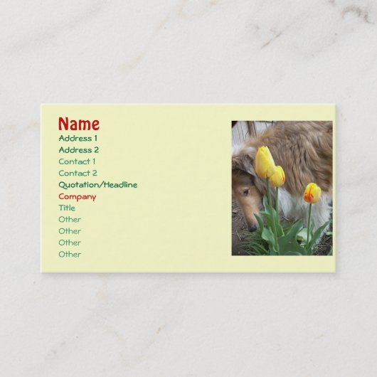 Collie n' Tulpen Visitekaartjes (Voorkant)