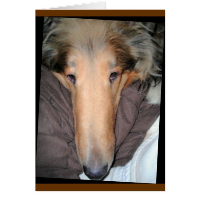 Collie "Nose" Love Card (Voorkant)