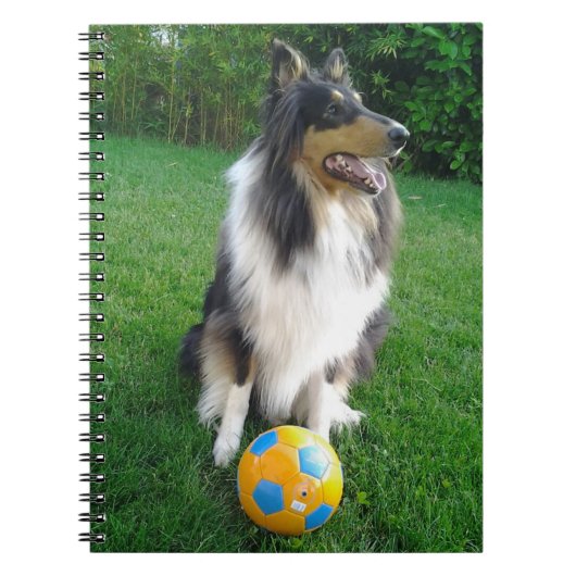 Collie Notitieboek (Voorkant)