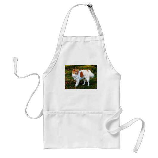 Collie on Lawn Standaard Schort (Voorkant)