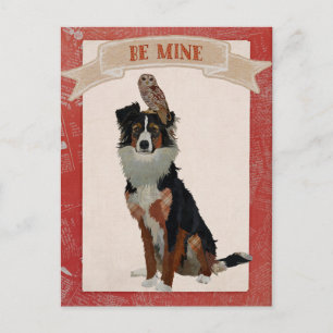 COLLIE & OWL VALENTIJN Postkaart Feestdagenkaart