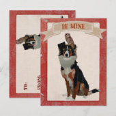 COLLIE & OWL VALENTIJNSDAG Ansichtkaart Feestdagenkaart (Voorkant / Achterkant)