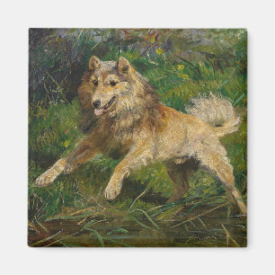 Collie pakt een kikker aan door Hermine Biedermann Magneet