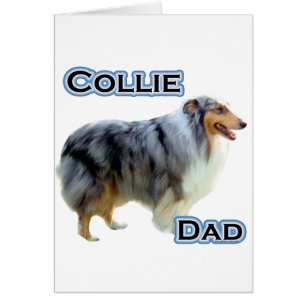 Collie Pap 4