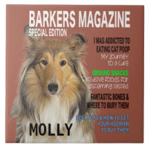 Collie Parody Magazine Hoesje