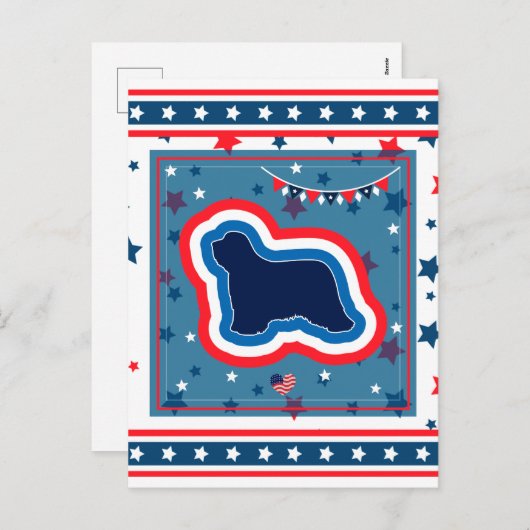 Collie Patriotic Red White Blue op 4 juli Feestdagenkaart (Voorkant / Achterkant)