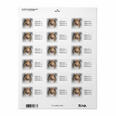 Collie Photo Address Label (Full Sheet)