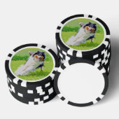 Collie Poker Chips (Opstapeling)