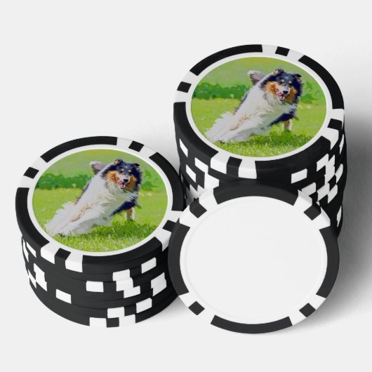 Collie Poker Chips (Opstapeling)