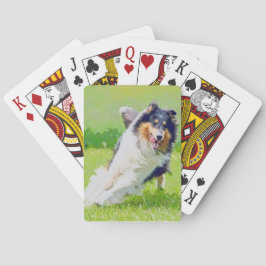 Collie Pokerkaarten