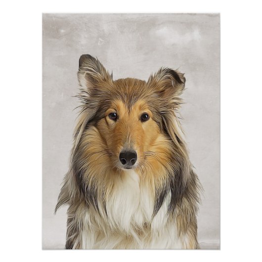 Collie Poster (Voorkant)