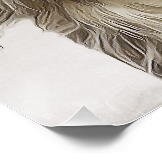 Collie Poster (Hoek)