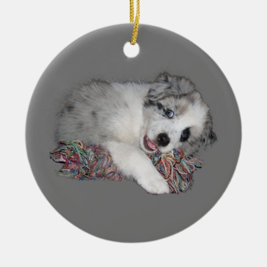 collie puppy blue merle keramisch ornament (Voorkant)