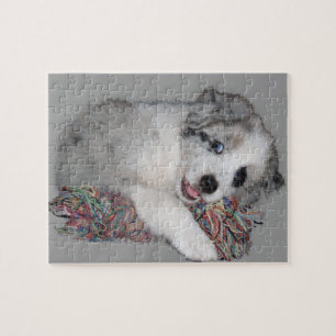 collie puppy blue merle legpuzzel