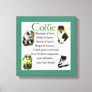 Collie Puppy Heritage of Love Canvas Afdruk